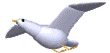 a low-poly seagull